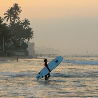 Premium Softboards