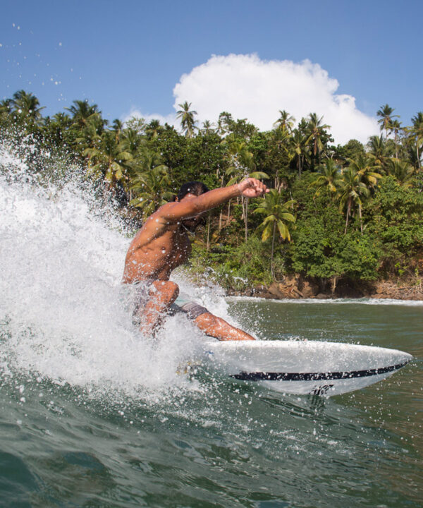 6'4 WAVE MAGNET SHORTBOARD EPS CLEAR CARBON - Image 2